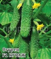 Фермерская Огурец Кураж F1 1000 шт Гавриш Фермерская Огурец Кураж F1 1000 шт Гавриш