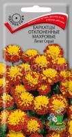 Бархатцы отклоненные махровые Петит Спрай Бархатцы отклоненные махровые Петит Спрай
