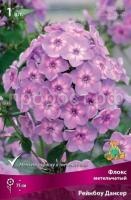 Флокс метельчатый Рейнбоу Дансер