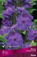 Флокс метельчатый Аида