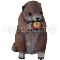 Бобер с яблоками