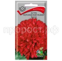 Астра-королевский-размер-Красная-0,1г-Поиск