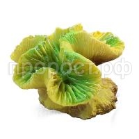 5bebc939e0d90071006192 5bebc939e0d90071006192