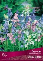 Пролеска колокольчатая Смесь окрасок (голубой, белый, розовый, 10шт, 7-8) 723271 Пролеска колокольчатая Смесь окрасок (голубой, белый, розовый, 10шт, 7-8) 723271