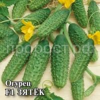 Огурец Зятек F1 100 шт Огурец Зятек F1 100 шт
