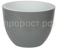 орион серый муссон