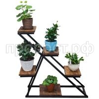 Лебедь1 Лебедь1