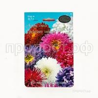 Астра смесь Срезочных сортов Сказка 200,7 Каприс