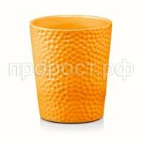 орхидея горчичный