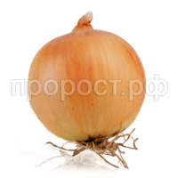 Лук репчатый Гордион 500г Лук репчатый Гордион 500г