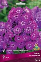 Флокс метельчатый Катя