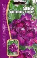 Адениум Фиолетовый Город 3 шт Редкие растения Адениум Фиолетовый Город 3 шт Редкие растения