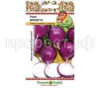 редис виолетта