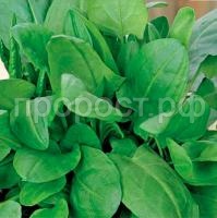 С143896_1 С143896_1