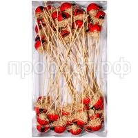 бк на солом