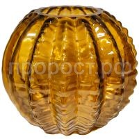 кактус шар желт