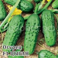 Огурец Цыган F1 250 шт