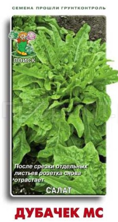 Поиск Салат Дубачек МС 1г