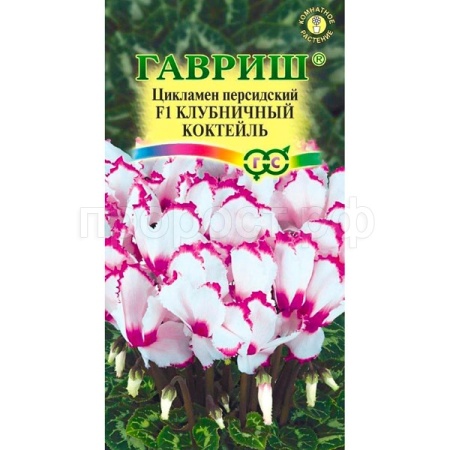 Гавриш Цикламен персидский Клубничный коктель ароматный 3шт