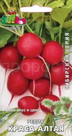Поиск Редис Краса Алтая 3 гр 