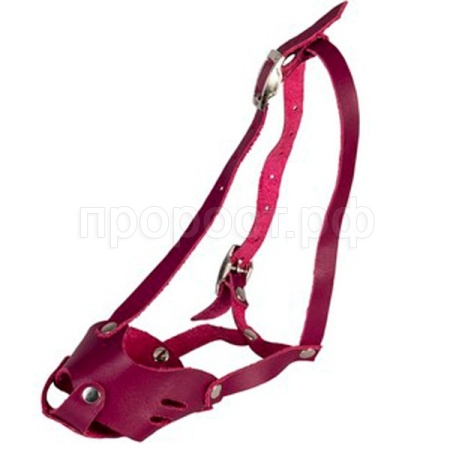 Намордник кожа цельнокроеный Йоркширский Терьер/04015012/Каскад