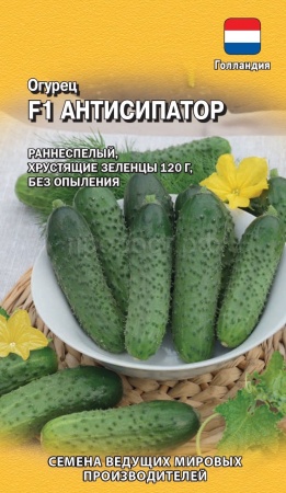 Огурец Антисипатор F1 5шт