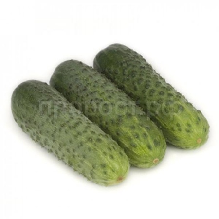 Rijk Zwaan Фермерская Огурец Караоке F1 100шт