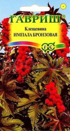 Клещевина Импала бронзовая 5шт 