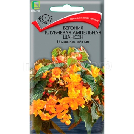 Поиск Комн. Бегония клубневая Шансон Оранжево-жёлтая 10шт 