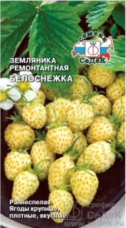 Седек Земляника Белоснежка 0,04г