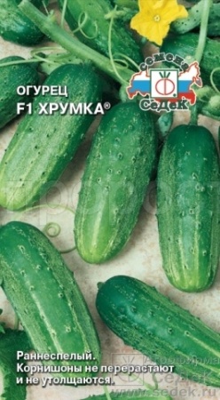 Седек Огурец Хрумка F1 0,3г