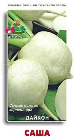 Дайкон Саша 1г