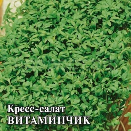Кресс-салат Витаминчик 25 г