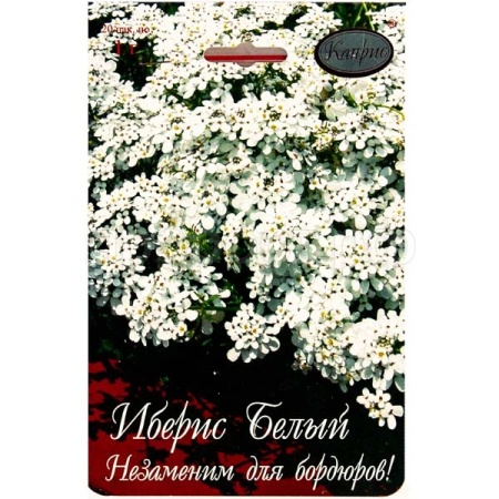 Иберис Белый Снежный ковер 20*1 