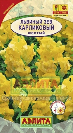 Львиный зев карликовый желтый 10шт