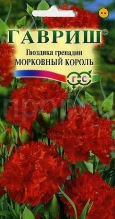Гвоздика Морковный король гренадин 0,05г