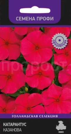 Катарантус Казанова 10шт