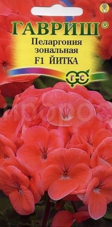 Пеларгония Йитка зональная 4 шт