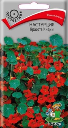 Настурция Красота Индии 1гр