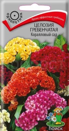 Целозия гребенчатая Коралловый сад 0,1г