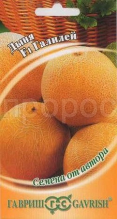 Гавриш Дыня Галилей F1 15шт