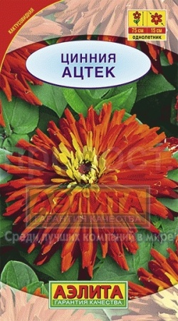 Цинния Ацтек