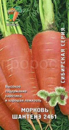 Поиск Морковь Шантенэ 2461 2г 