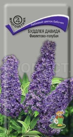 Буддлея Давида фиолетово-голубая 0,01г