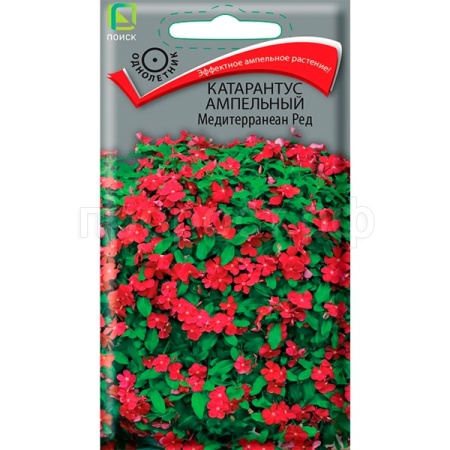 Поиск Катарантус ампельный Медитерранеан Ред 10шт 
