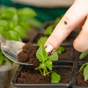 Грунт TERRA VITA Живая Земля Петуния-виола-настурция 5л Грунт TERRA VITA Живая Земля Петуния-виола-настурция 5л