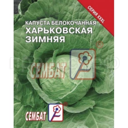 Сембат Капуста белокочанная Харьковская зимняя 3г XXXL