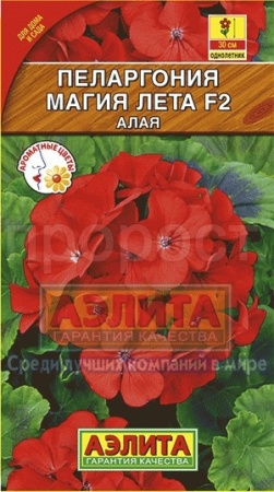 Пеларгония Магия лета алая F2 5шт 