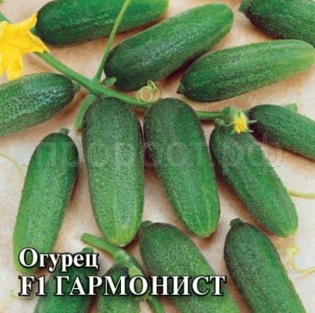 Огурец Гармонист F1 250шт