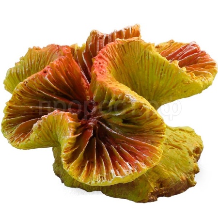 Грот Коралл искусственный Каталофиллия оранжевая 70*65*40мм/74004106